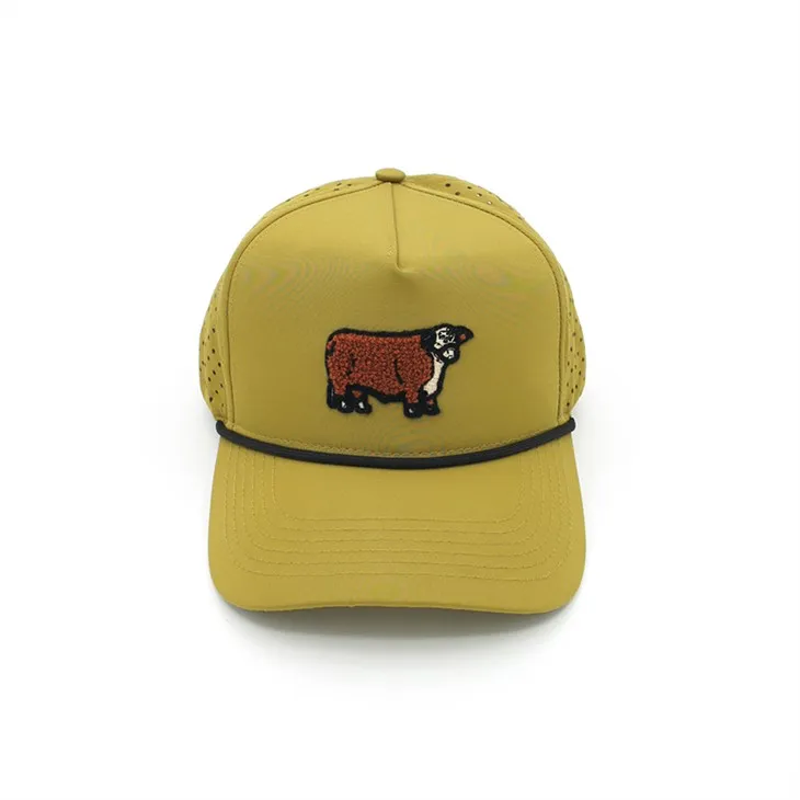 পশ ডিজাইনার ক্যাপস